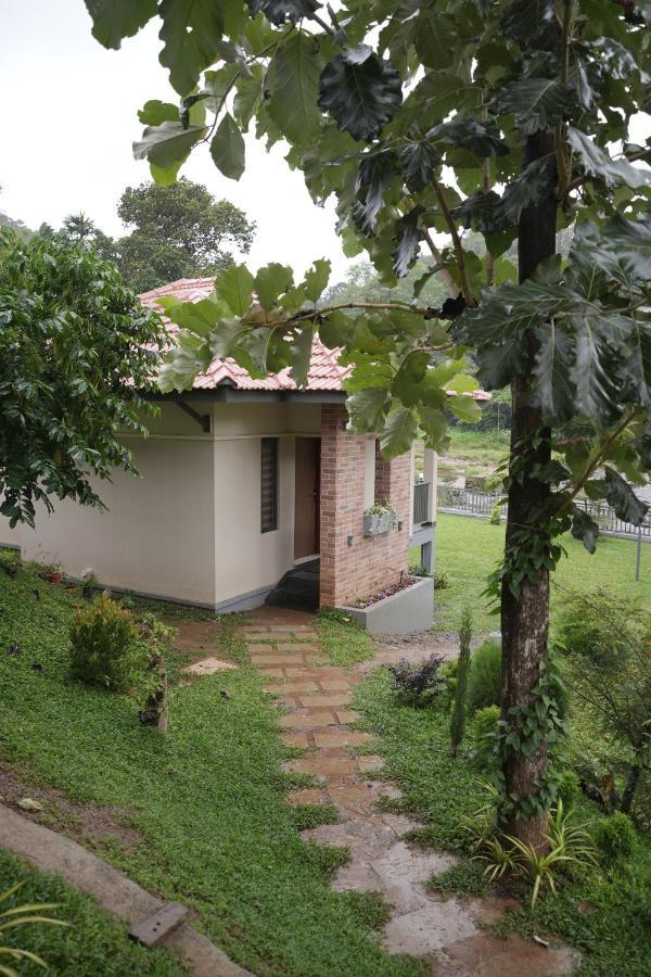Riverdale Munnar Resorts & Spa Anachal Exterior foto
